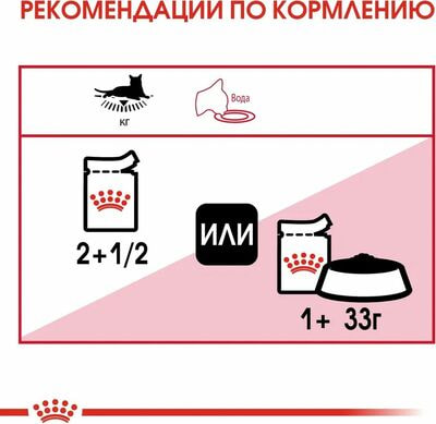 Влажные корма, консервы Royal Canin Корм для взрослых кошек Royal Canin Instinctive Корм консервированный ,желе 28 шт по 85 г (вид 6) Влажные корма, консервы Royal Canin Корм для взрослых кошек Royal Canin Instinctive Корм консервированный ,желе 28 шт по 85 г (фото, вид 6)