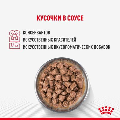Влажные корма, консервы Royal Canin Royal Canin KITTEN STERILISED Корм консервированный полнорационный для кастрированных и стерилизованных котят (в возрасте от 6 до 2 месяцев), мелкие кусочки в соусе 28 шт по 85 г (вид 4) Влажные корма, консервы Royal Canin Royal Canin KITTEN STERILISED Корм консервированный полнорационный для кастрированных и стерилизованных котят (в возрасте от 6 до 2 месяцев), мелкие кусочки в соусе 28 шт по 85 г (фото, вид 4)