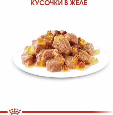 Влажные корма, консервы Royal Canin Корм консервированный Royal Canin Sterilised для взрослых кошек в желе 28 шт. по 85 г (вид 6) Влажные корма, консервы Royal Canin Корм консервированный Royal Canin Sterilised для взрослых кошек в желе 28 шт. по 85 г (фото, вид 6)