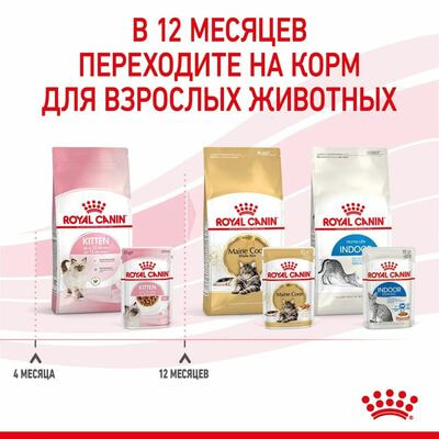 Влажные корма, консервы Royal Canin Консервированный корм для котят Royal Canin Kitten в возрасте до 2 месяцев в соусе 28 шт по 85 г (вид 8) Влажные корма, консервы Royal Canin Консервированный корм для котят Royal Canin Kitten в возрасте до 2 месяцев в соусе 28 шт по 85 г (фото, вид 8)