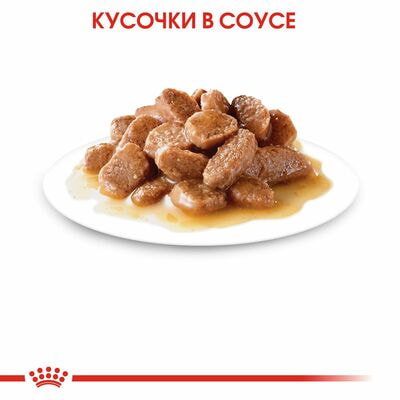Влажные корма, консервы Royal Canin Корм для стерилизованных взрослых кошек Royal Canin Sterilised Корм консервированный , соус 28 шт по 85 г (вид 4) Влажные корма, консервы Royal Canin Корм для стерилизованных взрослых кошек Royal Canin Sterilised Корм консервированный , соус 28 шт по 85 г (фото, вид 4)