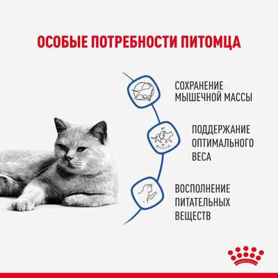 Влажные корма, консервы Royal Canin Royal Canin LIGHT WEIGHT CARE. Корм консервированный для взрослых кошек, для профилактики избыточного веса, кусочки в соусе 28 шт по 85 г (вид 2) Влажные корма, консервы Royal Canin Royal Canin LIGHT WEIGHT CARE. Корм консервированный для взрослых кошек, для профилактики избыточного веса, кусочки в соусе 28 шт по 85 г (фото, вид 2)