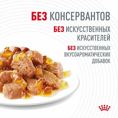  ,  Royal Canin              Royal Canin Hair&amp;Skin Care,     28   85  (,  6)