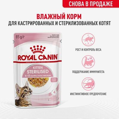 Влажные корма, консервы Royal Canin Royal Canin KITTEN STERILISED Корм консервированный полнорационный для кастрированных и стерилизованных котят (в возрасте от 6 до 2 месяцев), кусочки в желе 28 шт по 85 г (вид 1) Влажные корма, консервы Royal Canin Royal Canin KITTEN STERILISED Корм консервированный полнорационный для кастрированных и стерилизованных котят (в возрасте от 6 до 2 месяцев), кусочки в желе 28 шт по 85 г (фото, вид 1)