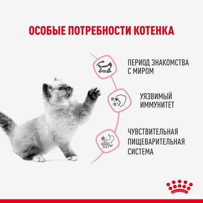Влажные корма, консервы Royal Canin Royal Canin KITTEN STERILISED Корм консервированный полнорационный для кастрированных и стерилизованных котят (в возрасте от 6 до 2 месяцев), кусочки в желе 28 шт по 85 г (вид 2) Влажные корма, консервы Royal Canin Royal Canin KITTEN STERILISED Корм консервированный полнорационный для кастрированных и стерилизованных котят (в возрасте от 6 до 2 месяцев), кусочки в желе 28 шт по 85 г (фото, вид 2)