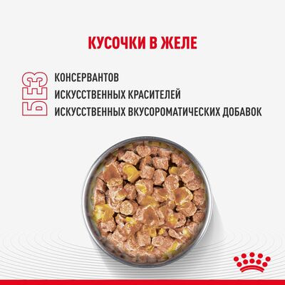 Влажные корма, консервы Royal Canin Royal Canin KITTEN STERILISED Корм консервированный полнорационный для кастрированных и стерилизованных котят (в возрасте от 6 до 2 месяцев), кусочки в желе 28 шт по 85 г (вид 4) Влажные корма, консервы Royal Canin Royal Canin KITTEN STERILISED Корм консервированный полнорационный для кастрированных и стерилизованных котят (в возрасте от 6 до 2 месяцев), кусочки в желе 28 шт по 85 г (фото, вид 4)