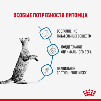  ,  Royal Canin Royal Canin INDOOR STERILISED.        ,    28   85  (,  3)