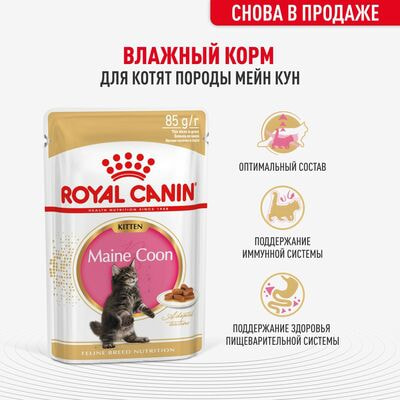 Влажные корма, консервы Royal Canin Royal Canin MAINE COON KITTEN. Корм консервированный полнорационный для котят породы Мэйн Кун до 15 месяцев, кусочки в соусе. 28 шт по 85 г (вид 1) Влажные корма, консервы Royal Canin Royal Canin MAINE COON KITTEN. Корм консервированный полнорационный для котят породы Мэйн Кун до 15 месяцев, кусочки в соусе. 28 шт по 85 г (фото, вид 1)