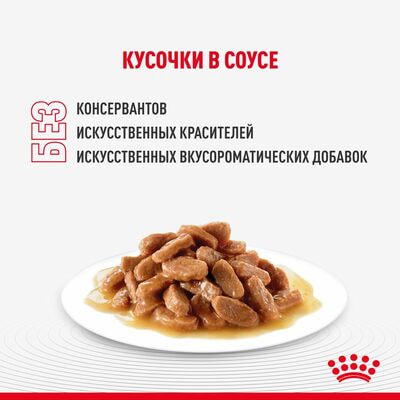 Влажные корма, консервы Royal Canin Royal Canin MAINE COON KITTEN. Корм консервированный полнорационный для котят породы Мэйн Кун до 15 месяцев, кусочки в соусе. 28 шт по 85 г (вид 2) Влажные корма, консервы Royal Canin Royal Canin MAINE COON KITTEN. Корм консервированный полнорационный для котят породы Мэйн Кун до 15 месяцев, кусочки в соусе. 28 шт по 85 г (фото, вид 2)
