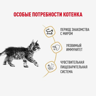 Влажные корма, консервы Royal Canin Royal Canin MAINE COON KITTEN. Корм консервированный полнорационный для котят породы Мэйн Кун до 15 месяцев, кусочки в соусе. 28 шт по 85 г (вид 3) Влажные корма, консервы Royal Canin Royal Canin MAINE COON KITTEN. Корм консервированный полнорационный для котят породы Мэйн Кун до 15 месяцев, кусочки в соусе. 28 шт по 85 г (фото, вид 3)