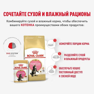 Влажные корма, консервы Royal Canin Royal Canin MAINE COON KITTEN. Корм консервированный полнорационный для котят породы Мэйн Кун до 15 месяцев, кусочки в соусе. 28 шт по 85 г (вид 6) Влажные корма, консервы Royal Canin Royal Canin MAINE COON KITTEN. Корм консервированный полнорационный для котят породы Мэйн Кун до 15 месяцев, кусочки в соусе. 28 шт по 85 г (фото, вид 6)