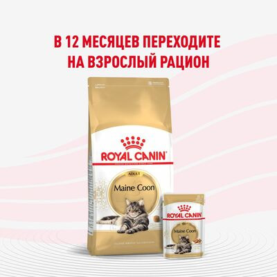 Влажные корма, консервы Royal Canin Royal Canin MAINE COON KITTEN. Корм консервированный полнорационный для котят породы Мэйн Кун до 15 месяцев, кусочки в соусе. 28 шт по 85 г (вид 7) Влажные корма, консервы Royal Canin Royal Canin MAINE COON KITTEN. Корм консервированный полнорационный для котят породы Мэйн Кун до 15 месяцев, кусочки в соусе. 28 шт по 85 г (фото, вид 7)