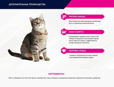 Влажные корма, консервы Eukanuba Влажный корм Eukanubaдля взрослых кошек из кролика в соусе, 24 шт по 85 г (вид 6) Влажные корма, консервы Eukanuba Влажный корм Eukanubaдля взрослых кошек из кролика в соусе, 24 шт по 85 г (фото, вид 6)