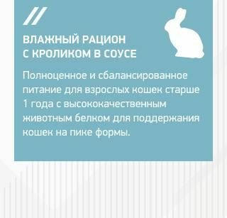 Влажные корма, консервы Eukanuba Влажный корм Eukanubaдля взрослых кошек из кролика в соусе, 24 шт по 85 г (вид 8) Влажные корма, консервы Eukanuba Влажный корм Eukanubaдля взрослых кошек из кролика в соусе, 24 шт по 85 г (фото, вид 8)