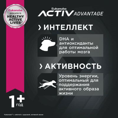 Сухие корма Eukanuba Сухой корм для взрослых собак мелких пород Eukanuba с птицей, 15 кг (вид 4) Сухие корма Eukanuba Сухой корм для взрослых собак мелких пород Eukanuba с птицей, 15 кг (фото, вид 4)