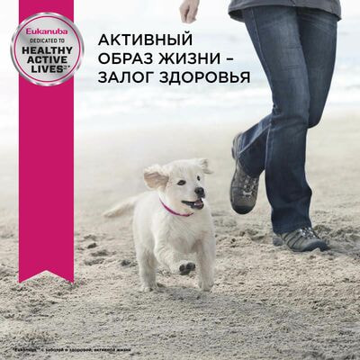 Сухие корма Eukanuba Сухой корм для щенков средних пород Eukanuba с птицей, 3 кг (вид 6) Сухие корма Eukanuba Сухой корм для щенков средних пород Eukanuba с птицей, 3 кг (фото, вид 6)