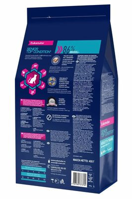 Сухие корма Eukanuba Сухой сбалансированный корм для пожилых кошек Eukanuba с птицей, 2 шт по 400 г (вид 2) Сухие корма Eukanuba Сухой сбалансированный корм для пожилых кошек Eukanuba с птицей, 2 шт по 400 г (фото, вид 2)