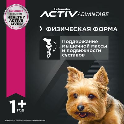 Сухие корма Eukanuba Сухой корм для взрослых собак миниатюрных пород Eukanuba с птицей, 1,5 кг (вид 4) Сухие корма Eukanuba Сухой корм для взрослых собак миниатюрных пород Eukanuba с птицей, 1,5 кг (фото, вид 4)
