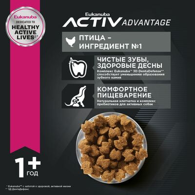 Сухие корма Eukanuba Сухой корм для взрослых собак миниатюрных пород Eukanuba с птицей, 1,5 кг (вид 6) Сухие корма Eukanuba Сухой корм для взрослых собак миниатюрных пород Eukanuba с птицей, 1,5 кг (фото, вид 6)