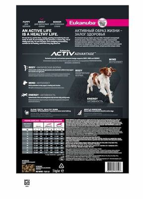 Сухие корма Eukanuba Сухой корм для взрослых собак средних пород Eukanuba с птицей, 3 кг (вид 2) Сухие корма Eukanuba Сухой корм для взрослых собак средних пород Eukanuba с птицей, 3 кг (фото, вид 2)