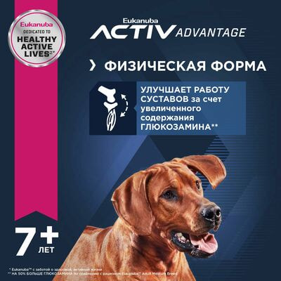 Сухие корма Eukanuba Сухой корм для пожилых собак крупных и очень крупных пород Eukanuba с птицей, 4 кг (вид 3) Сухие корма Eukanuba Сухой корм для пожилых собак крупных и очень крупных пород Eukanuba с птицей, 4 кг (фото, вид 3)
