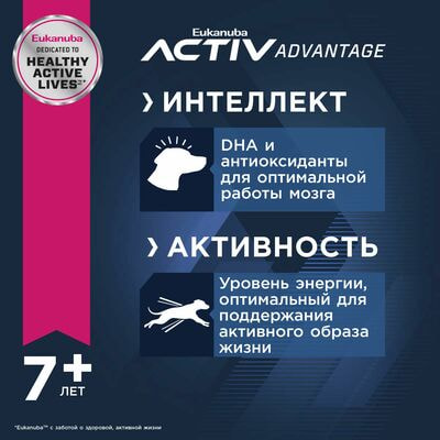 Сухие корма Eukanuba Сухой корм для пожилых собак крупных и очень крупных пород Eukanuba с птицей, 4 кг (вид 4) Сухие корма Eukanuba Сухой корм для пожилых собак крупных и очень крупных пород Eukanuba с птицей, 4 кг (фото, вид 4)