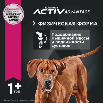 Сухие корма Eukanuba Сухой корм для взрослых собак крупных и очень крупных пород Eukanuba с птицей, 15 кг (вид 4) Сухие корма Eukanuba Сухой корм для взрослых собак крупных и очень крупных пород Eukanuba с птицей, 15 кг (фото, вид 4)