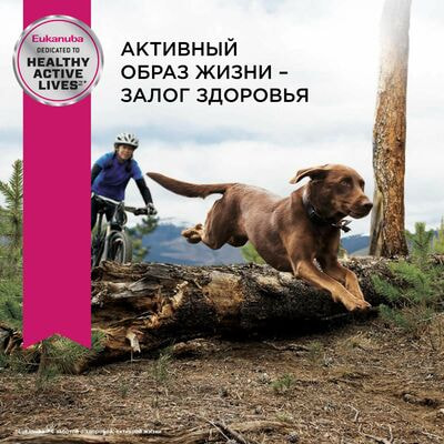 Сухие корма Eukanuba Сухой корм для взрослых собак крупных и очень крупных пород Eukanuba с птицей, 15 кг (вид 8) Сухие корма Eukanuba Сухой корм для взрослых собак крупных и очень крупных пород Eukanuba с птицей, 15 кг (фото, вид 8)