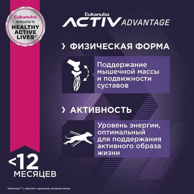 Сухие корма Eukanuba Сухой корм для щенков миниатюрных пород Eukanuba с птицей, 2 шт по 500 г (вид 6) Сухие корма Eukanuba Сухой корм для щенков миниатюрных пород Eukanuba с птицей, 2 шт по 500 г (фото, вид 6)