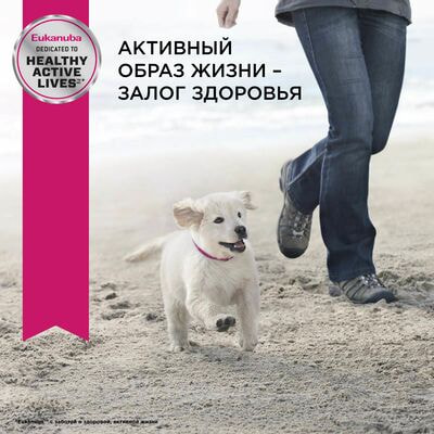 Сухие корма Eukanuba Сухой корм для щенков миниатюрных пород Eukanuba с птицей, 2 шт по 500 г (вид 10) Сухие корма Eukanuba Сухой корм для щенков миниатюрных пород Eukanuba с птицей, 2 шт по 500 г (фото, вид 10)
