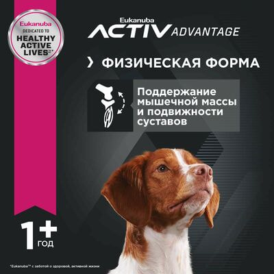 Сухие корма Eukanuba Сухой корм для взрослых собак средних пород Eukanuba с птицей,15 кг (вид 8) Сухие корма Eukanuba Сухой корм для взрослых собак средних пород Eukanuba с птицей,15 кг (фото, вид 8)