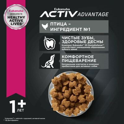 Сухие корма Eukanuba Сухой корм для взрослых собак средних пород Eukanuba с птицей,15 кг (вид 10) Сухие корма Eukanuba Сухой корм для взрослых собак средних пород Eukanuba с птицей,15 кг (фото, вид 10)