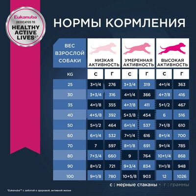 Сухие корма Eukanuba Сухой корм для пожилых собак крупных и очень крупных пород Eukanuba с птицей, 15 кг (вид 2) Сухие корма Eukanuba Сухой корм для пожилых собак крупных и очень крупных пород Eukanuba с птицей, 15 кг (фото, вид 2)