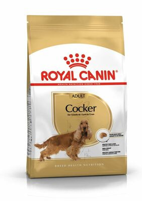 Сухие корма Royal Canin Корм для взрослых собак Royal Canin Cocker Adult сухой для породы Кокер Спаниель от 12 месяцев, 3 кг (вид 1) Сухие корма Royal Canin Корм для взрослых собак Royal Canin Cocker Adult сухой для породы Кокер Спаниель от 12 месяцев, 3 кг (фото, вид 1)