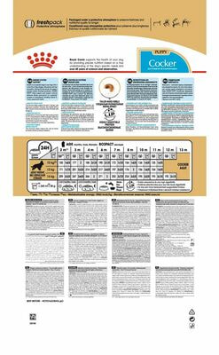 Сухие корма Royal Canin Корм для взрослых собак Royal Canin Cocker Adult сухой для породы Кокер Спаниель от 12 месяцев, 3 кг (вид 2) Сухие корма Royal Canin Корм для взрослых собак Royal Canin Cocker Adult сухой для породы Кокер Спаниель от 12 месяцев, 3 кг (фото, вид 2)