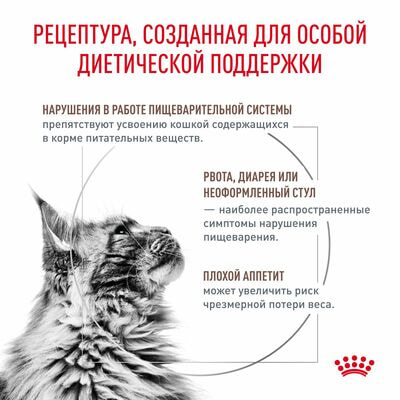 Сухие корма Royal Canin Royal Canin Gastrointestinal Корм сухой диетический для взрослых кошек при расстройствах пищеварения, 2 кг (вид 2) Сухие корма Royal Canin Royal Canin Gastrointestinal Корм сухой диетический для взрослых кошек при расстройствах пищеварения, 2 кг (фото, вид 2)