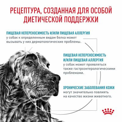 Сухие корма Royal Canin Royal Canin Hypoallergenic DR 21 Canine Корм сухой диетический для взрослых собак при пищевой аллергии, 14 кг (вид 2) Сухие корма Royal Canin Royal Canin Hypoallergenic DR 21 Canine Корм сухой диетический для взрослых собак при пищевой аллергии, 14 кг (фото, вид 2)
