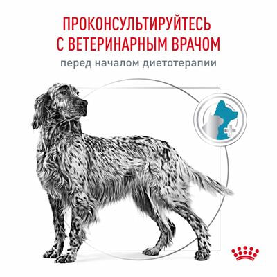 Сухие корма Royal Canin Royal Canin Hypoallergenic DR 21 Canine Корм сухой диетический для взрослых собак при пищевой аллергии, 2 кг (вид 3) Сухие корма Royal Canin Royal Canin Hypoallergenic DR 21 Canine Корм сухой диетический для взрослых собак при пищевой аллергии, 2 кг (фото, вид 3)