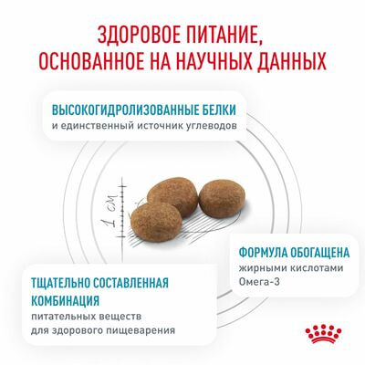 Сухие корма Royal Canin Royal Canin Hypoallergenic DR 21 Canine Корм сухой диетический для взрослых собак при пищевой аллергии, 2 кг (вид 5) Сухие корма Royal Canin Royal Canin Hypoallergenic DR 21 Canine Корм сухой диетический для взрослых собак при пищевой аллергии, 2 кг (фото, вид 5)