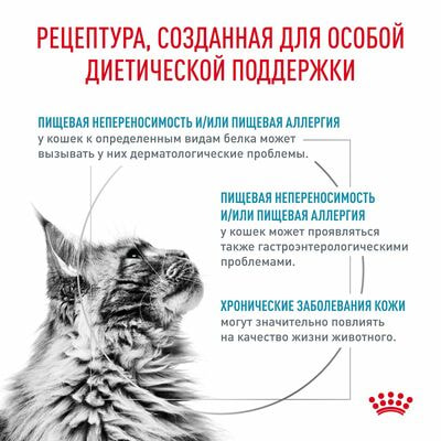 Сухие корма Royal Canin Royal Canin Hypoallergenic DR 25 Feline Корм сухой диетический для взрослых кошек при пищевой аллергии, 2,5 кг (вид 3) Сухие корма Royal Canin Royal Canin Hypoallergenic DR 25 Feline Корм сухой диетический для взрослых кошек при пищевой аллергии, 2,5 кг (фото, вид 3)