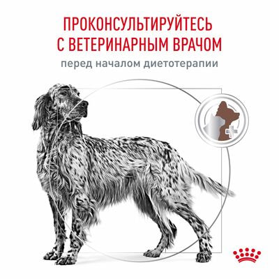 Сухие корма Royal Canin Royal Canin Hepatic HF 16 Canine Корм сухой диетический для собак, предназначенный для поддержания функции печени,6 кг (вид 3) Сухие корма Royal Canin Royal Canin Hepatic HF 16 Canine Корм сухой диетический для собак, предназначенный для поддержания функции печени,6 кг (фото, вид 3)