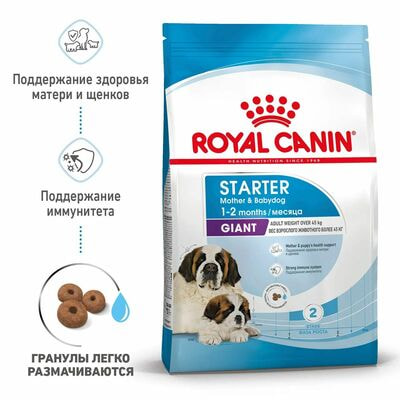 Сухие корма Royal Canin Корм для щенков очень крупных размеров до 2-х месяцев, беременных и кормящих сук, Royal Canin Giant Starter, сухой, 4 кг (вид 2) Сухие корма Royal Canin Корм для щенков очень крупных размеров до 2-х месяцев, беременных и кормящих сук, Royal Canin Giant Starter, сухой, 4 кг (фото, вид 2)
