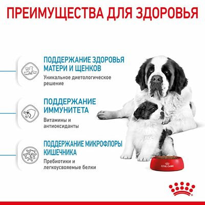 Сухие корма Royal Canin Корм для щенков очень крупных размеров до 2-х месяцев, беременных и кормящих сук, Royal Canin Giant Starter, сухой, 4 кг (вид 3) Сухие корма Royal Canin Корм для щенков очень крупных размеров до 2-х месяцев, беременных и кормящих сук, Royal Canin Giant Starter, сухой, 4 кг (фото, вид 3)