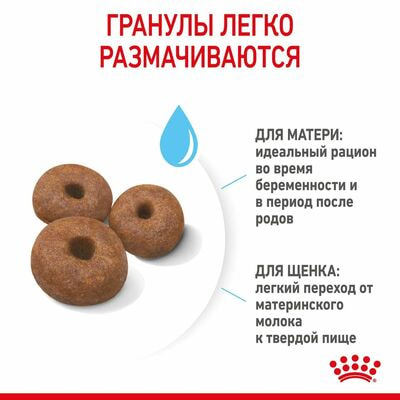 Сухие корма Royal Canin Корм для щенков очень крупных размеров до 2-х месяцев, беременных и кормящих сук, Royal Canin Giant Starter, сухой, 4 кг (вид 7) Сухие корма Royal Canin Корм для щенков очень крупных размеров до 2-х месяцев, беременных и кормящих сук, Royal Canin Giant Starter, сухой, 4 кг (фото, вид 7)