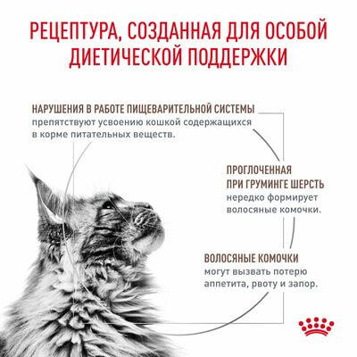 Сухие корма Royal Canin Royal Canin Gastrointestinal Hairball Корм для взрослых кошек при нарушениях пищеварения, сухой диетический, 2 кг (вид 7) Сухие корма Royal Canin Royal Canin Gastrointestinal Hairball Корм для взрослых кошек при нарушениях пищеварения, сухой диетический, 2 кг (фото, вид 7)