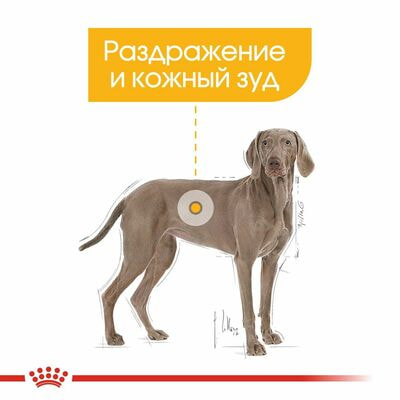 Сухие корма Royal Canin Корм для взрослых собак крупных размеров при раздражениях и зуде кожи Royal Canin Maxi Dermacomfort, сухой, 3 кг (вид 5) Сухие корма Royal Canin Корм для взрослых собак крупных размеров при раздражениях и зуде кожи Royal Canin Maxi Dermacomfort, сухой, 3 кг (фото, вид 5)