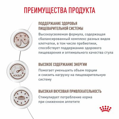 Сухие корма Royal Canin Royal Canin Gastrointestinal Корм сухой диетический для взрослых кошек при расстройствах пищеварения, 2 шт по 400 г (вид 4) Сухие корма Royal Canin Royal Canin Gastrointestinal Корм сухой диетический для взрослых кошек при расстройствах пищеварения, 2 шт по 400 г (фото, вид 4)