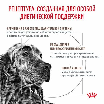 Сухие корма Royal Canin Royal Canin Gastrointestinal Корм сухой диетический для взрослых собак при расстройствах пищеварения, 2 кг (вид 2) Сухие корма Royal Canin Royal Canin Gastrointestinal Корм сухой диетический для взрослых собак при расстройствах пищеварения, 2 кг (фото, вид 2)