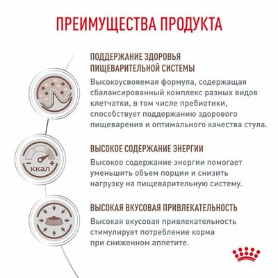 Сухие корма Royal Canin Royal Canin Gastrointestinal Корм сухой диетический для взрослых собак при расстройствах пищеварения, 2 кг (вид 4) Сухие корма Royal Canin Royal Canin Gastrointestinal Корм сухой диетический для взрослых собак при расстройствах пищеварения, 2 кг (фото, вид 4)