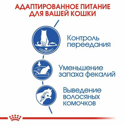 Сухие корма Royal Canin Корм для кошек Royal Canin Indoor Appetite Control сухой сбалансированный для взрослых кошек, живущих в помещении, 2 кг (вид 6) Сухие корма Royal Canin Корм для кошек Royal Canin Indoor Appetite Control сухой сбалансированный для взрослых кошек, живущих в помещении, 2 кг (фото, вид 6)